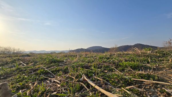 ‘무’는 유지될 수 있는가?