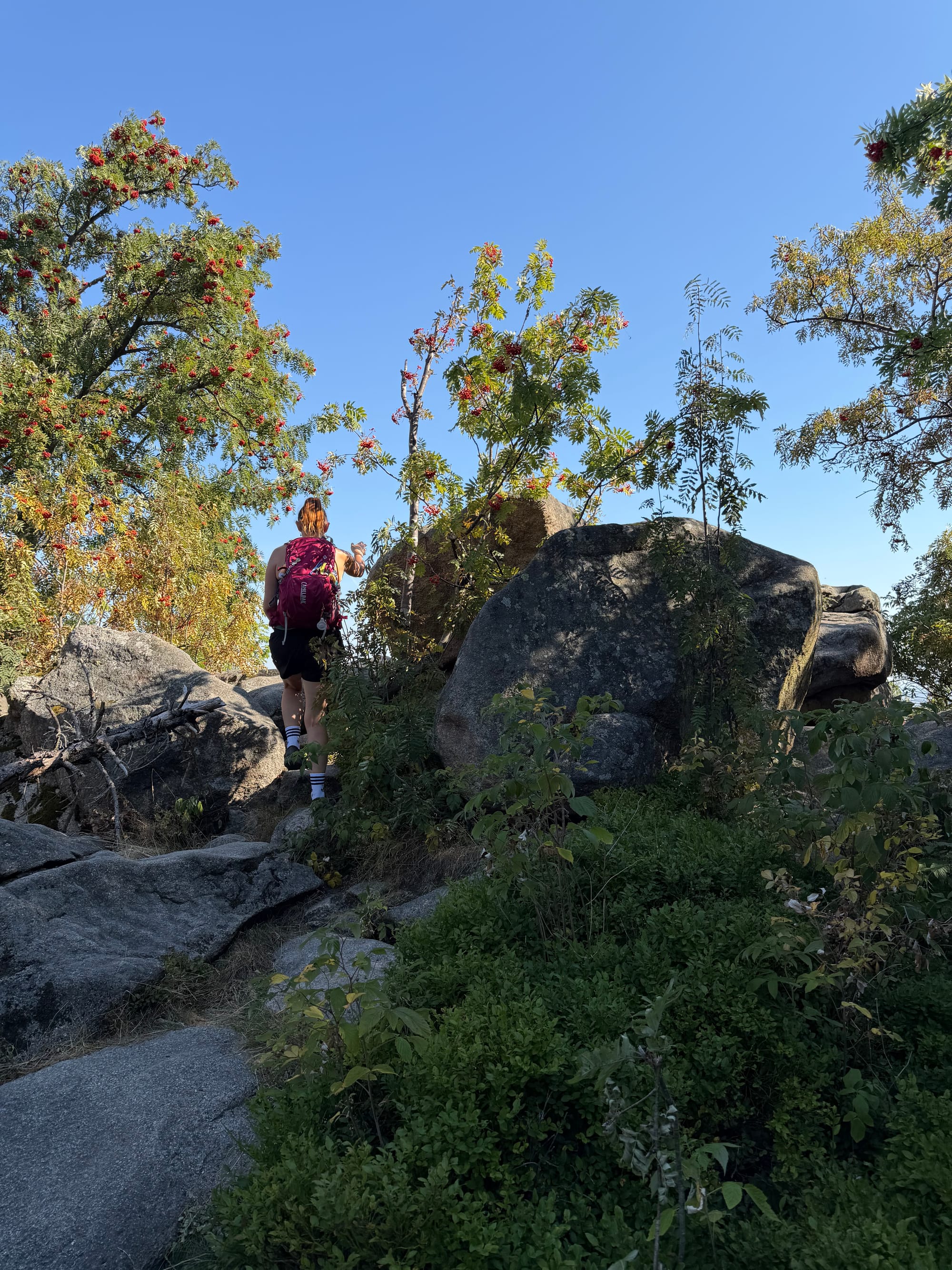 Nicole mit rotem Rucksack steigt über große, graue Felsen hinauf zu einer Klippe mit Ebereschen voller roter Beeren. © Roman Jasiek