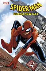 Das Comic-Cover von Spider-Man Brand New Day zeigt den Superhelden in klassischer Pose auf einer Ziegelwand vor den Wolkenkratzern New Yorks. © Panini Comics