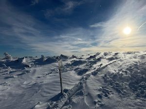 Wie ich einmal beinahe eine Harzer Wandernadel bekommen hätte, oder: Wandertag im Harz, Teil 3