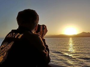 Ja, wo laufen sie denn?, oder: Wohin mit Dir, kleiner Blog?