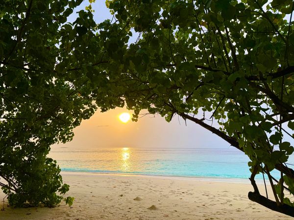 Das schöne Bild: Safari Island, Malediven