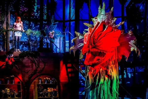 Der kleine Horrorladen: Bericht von der Musical-Premiere am 11. November 2017 im Theater Magdeburg