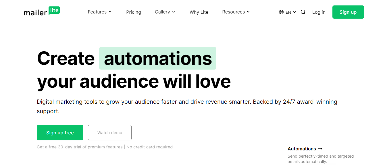 mailer lite - Email Management Strategies