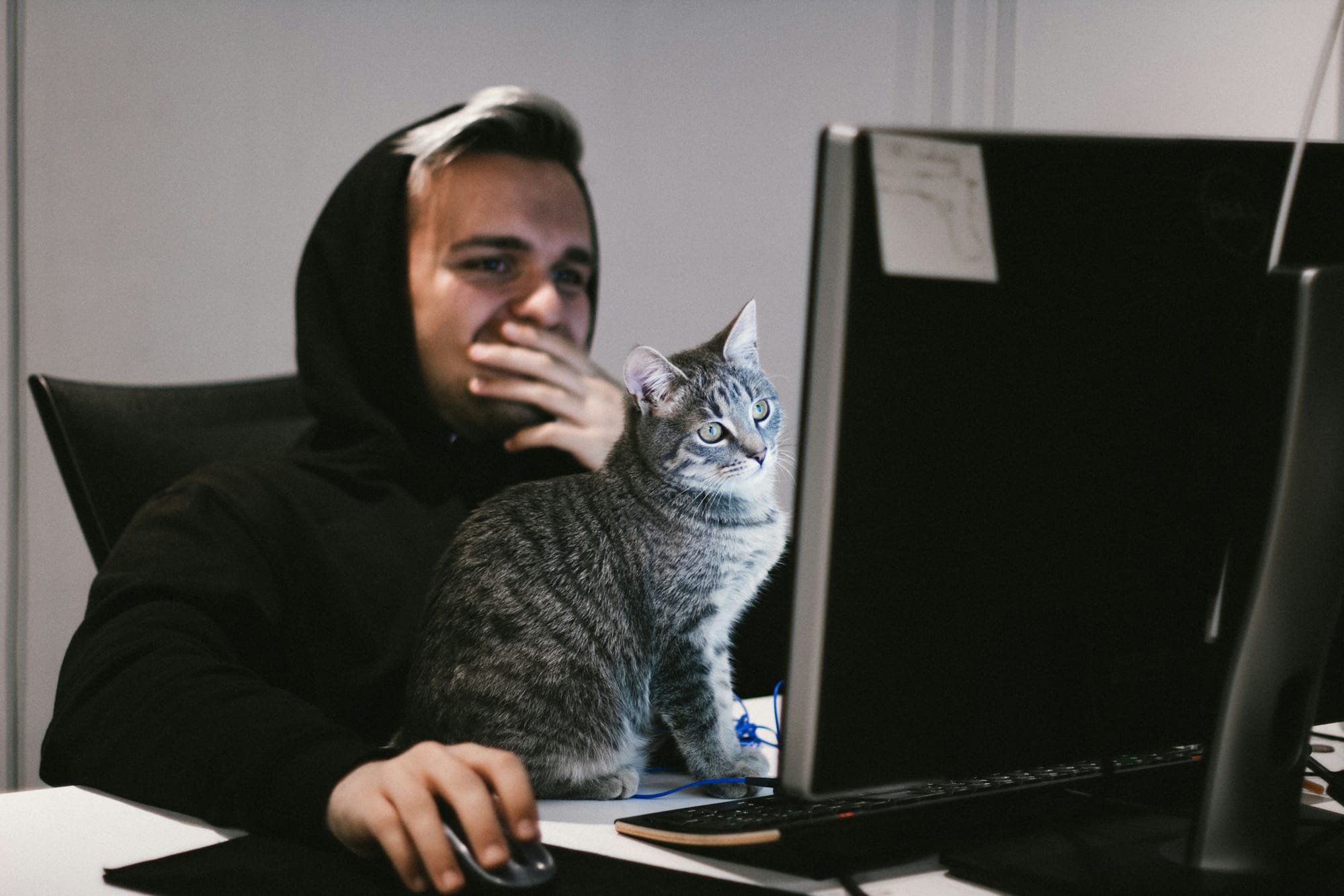 man with a cat - Personal Productivity Tool 