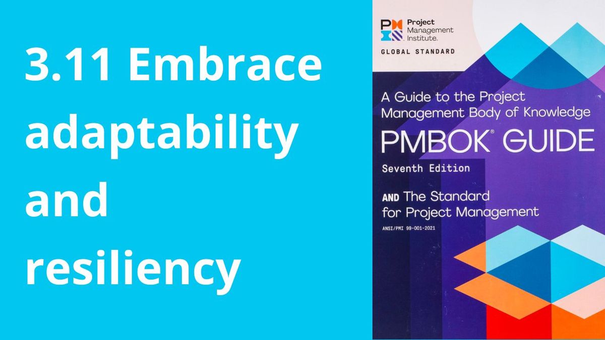 Прийміть адаптивність та стійкість (3.11 Embrace adaptability and resiliency)
