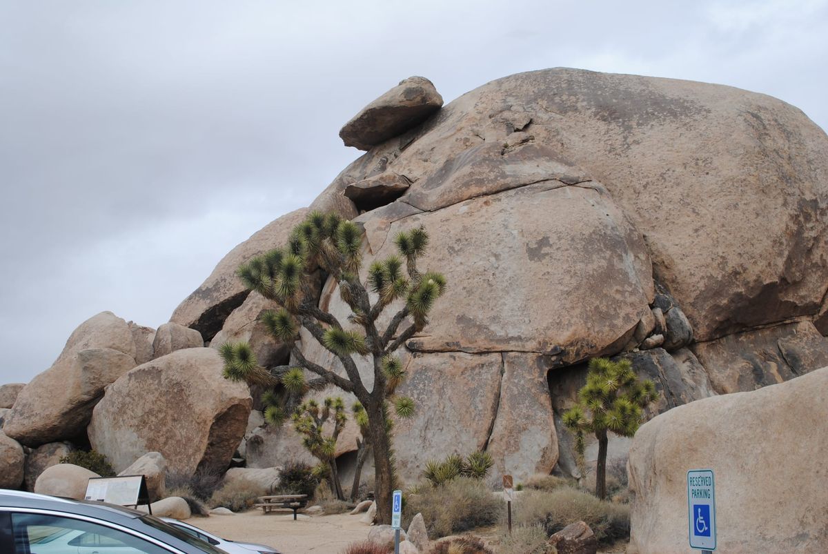 Joshua Tree National Park