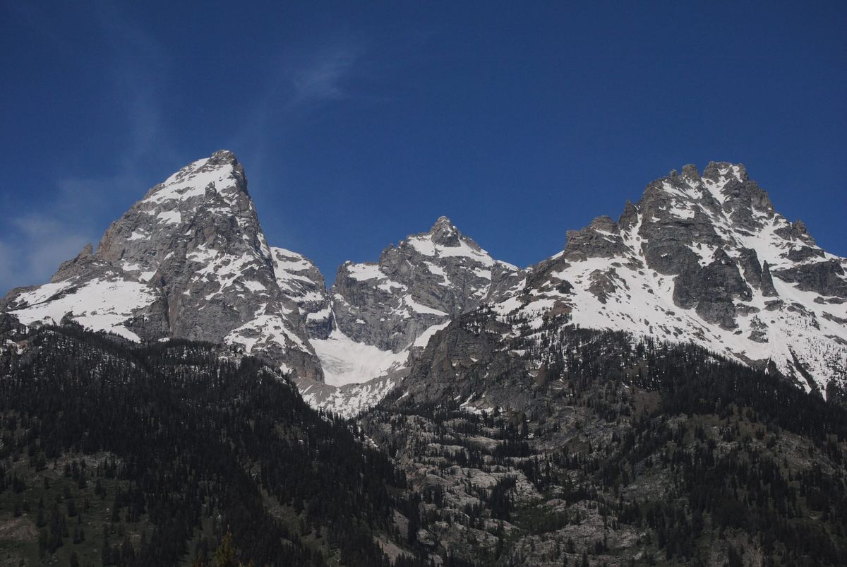 Grand Tetons, Moose and Bears!