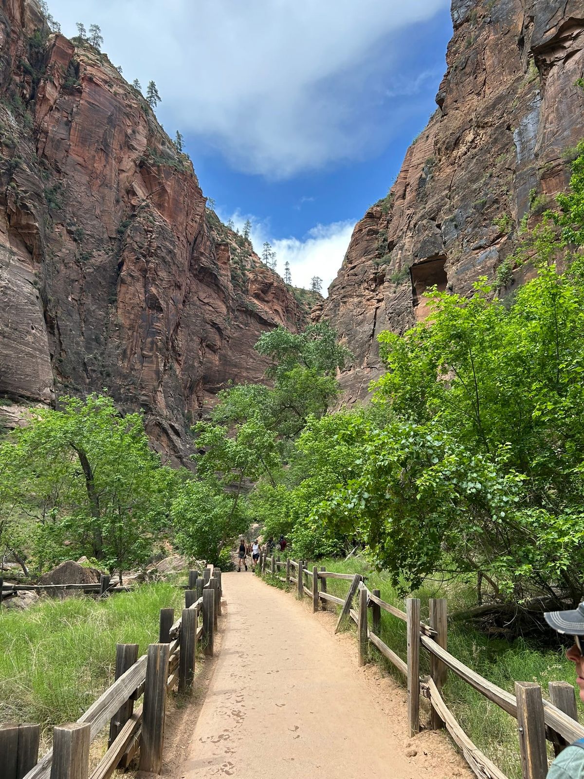 Zion National Park, UT