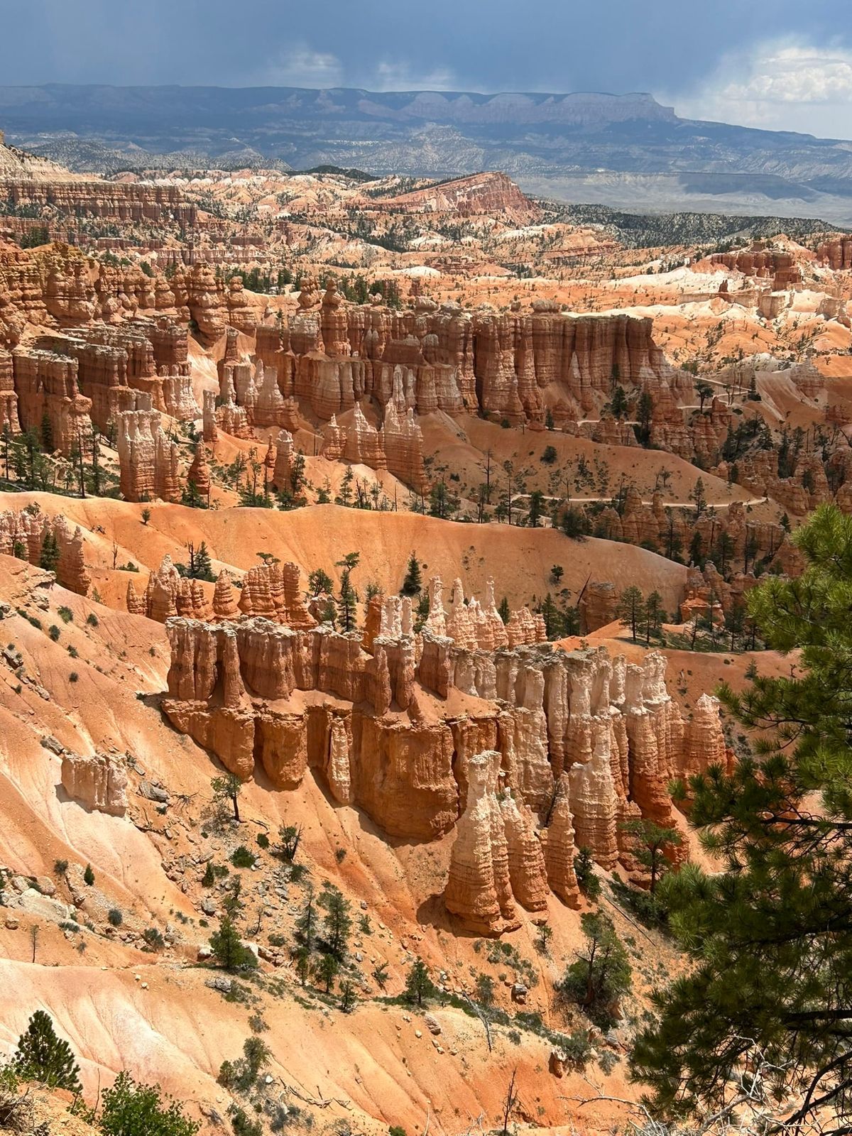 Reflecting on our trip