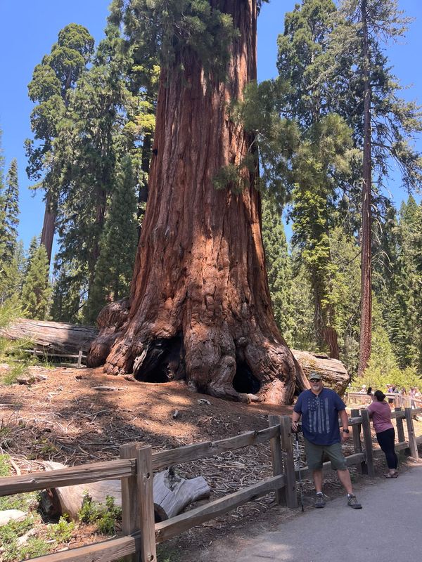 Kings Canyon National Park, Giant Sequoia National Monument and Sequoia National Park