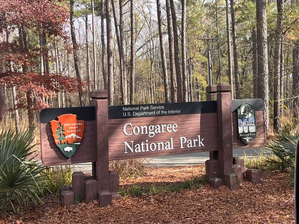 Congaree National Park, NC