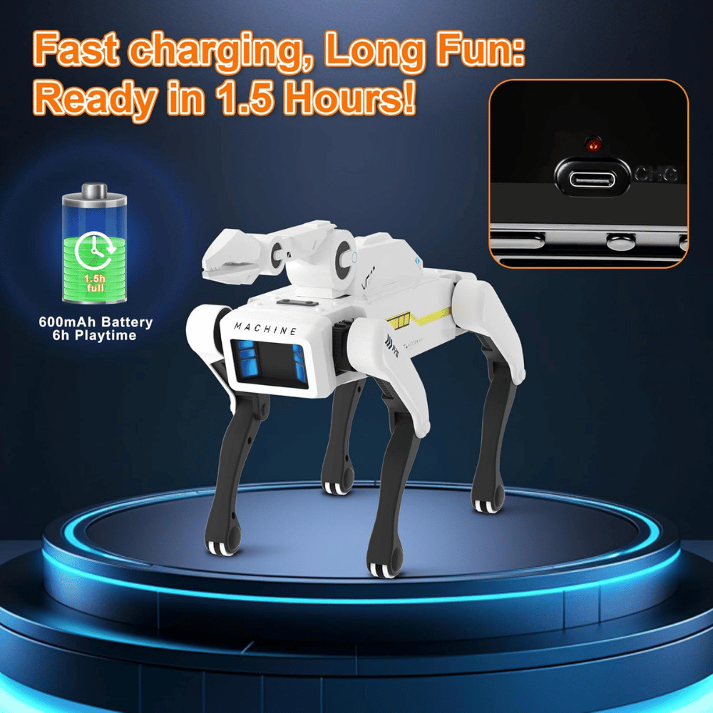 DingDongwu Robot Dog