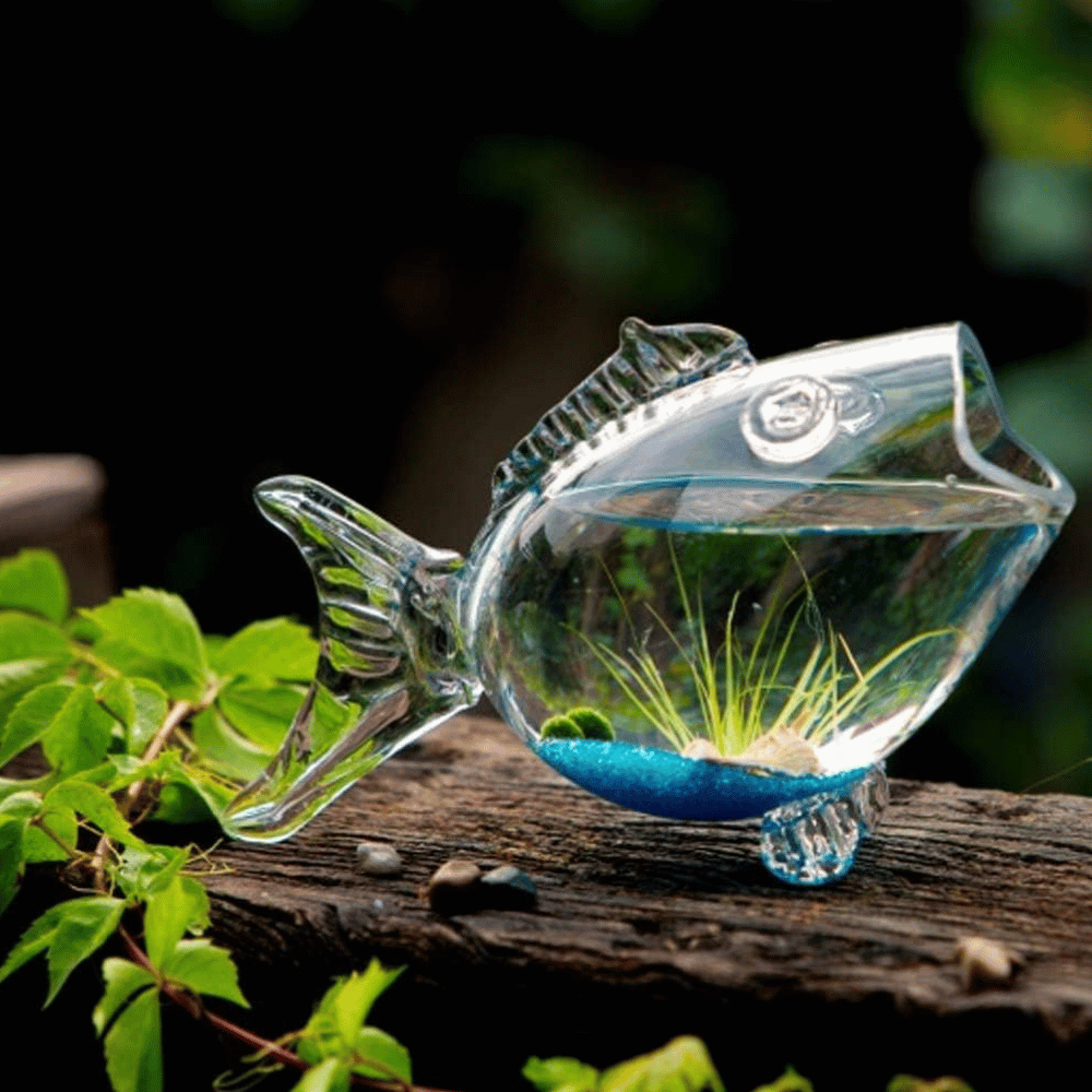 Fish Bowls Creative Fish Tank