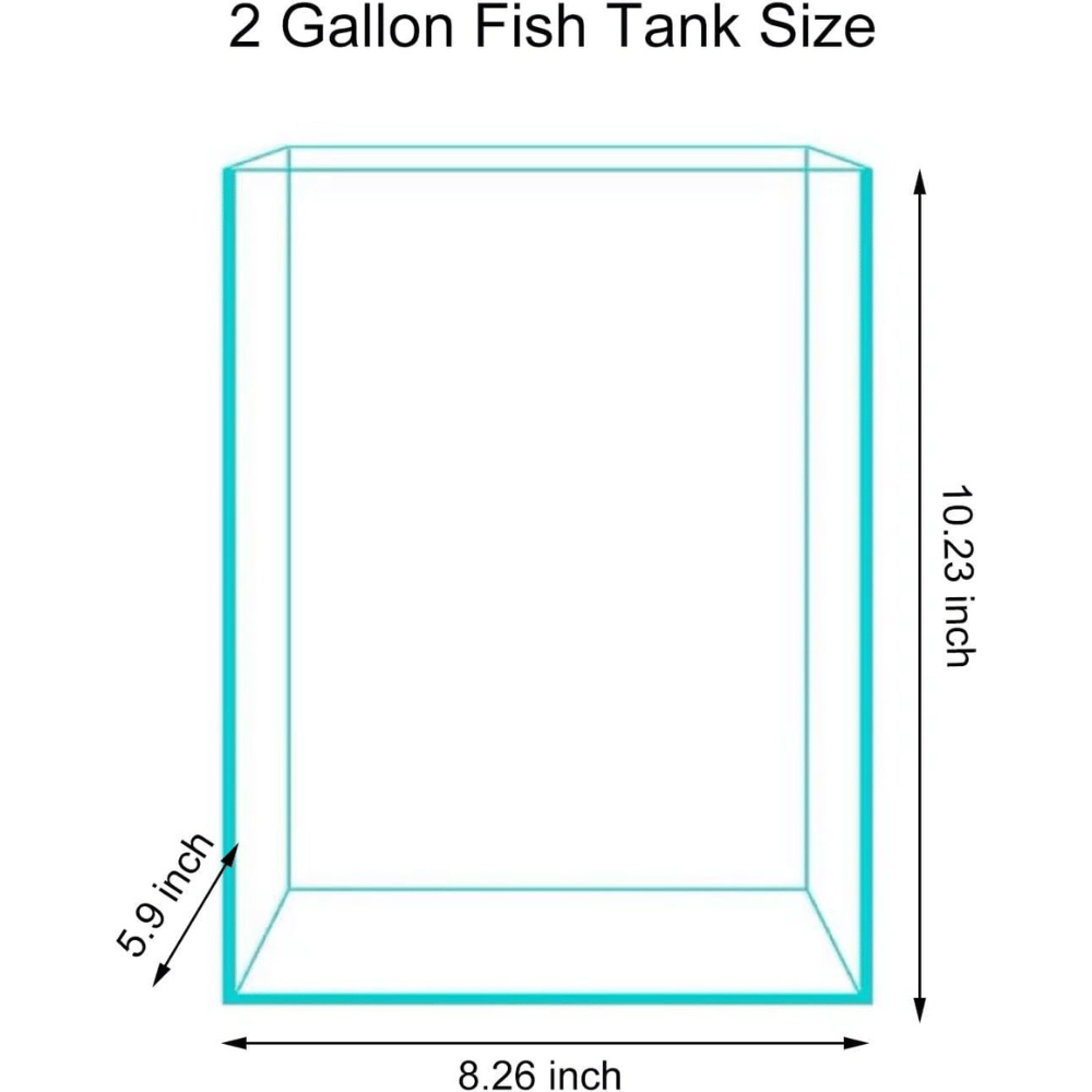 Vimvins Glass Fish Bowl