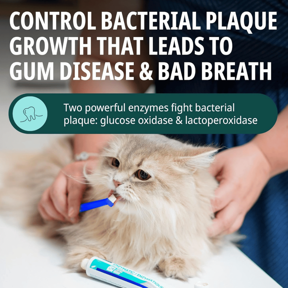 Virbac C.E.T. Oral Hygiene Kit for Cats