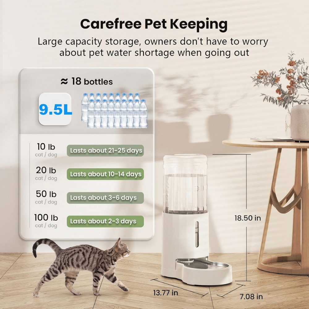 CZPET 2.5 Gallon Pet Water Dispenser