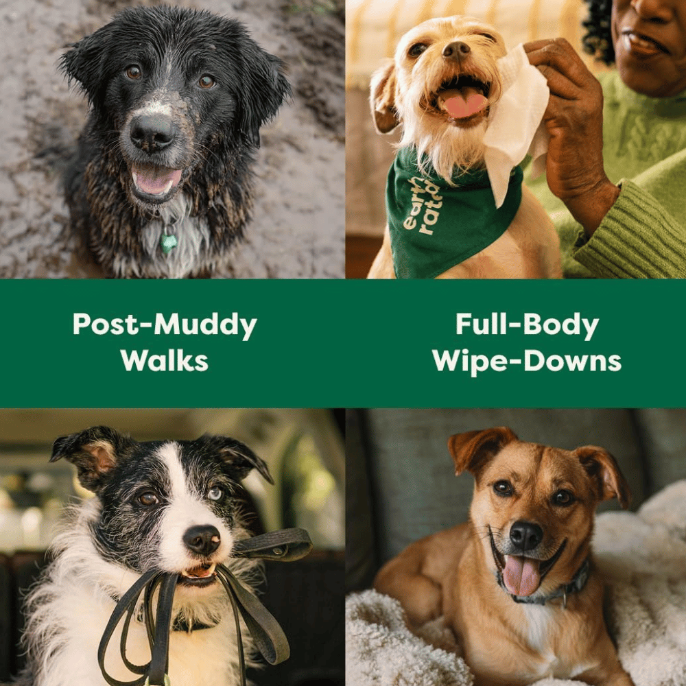 Earth Rated Dog Wipes