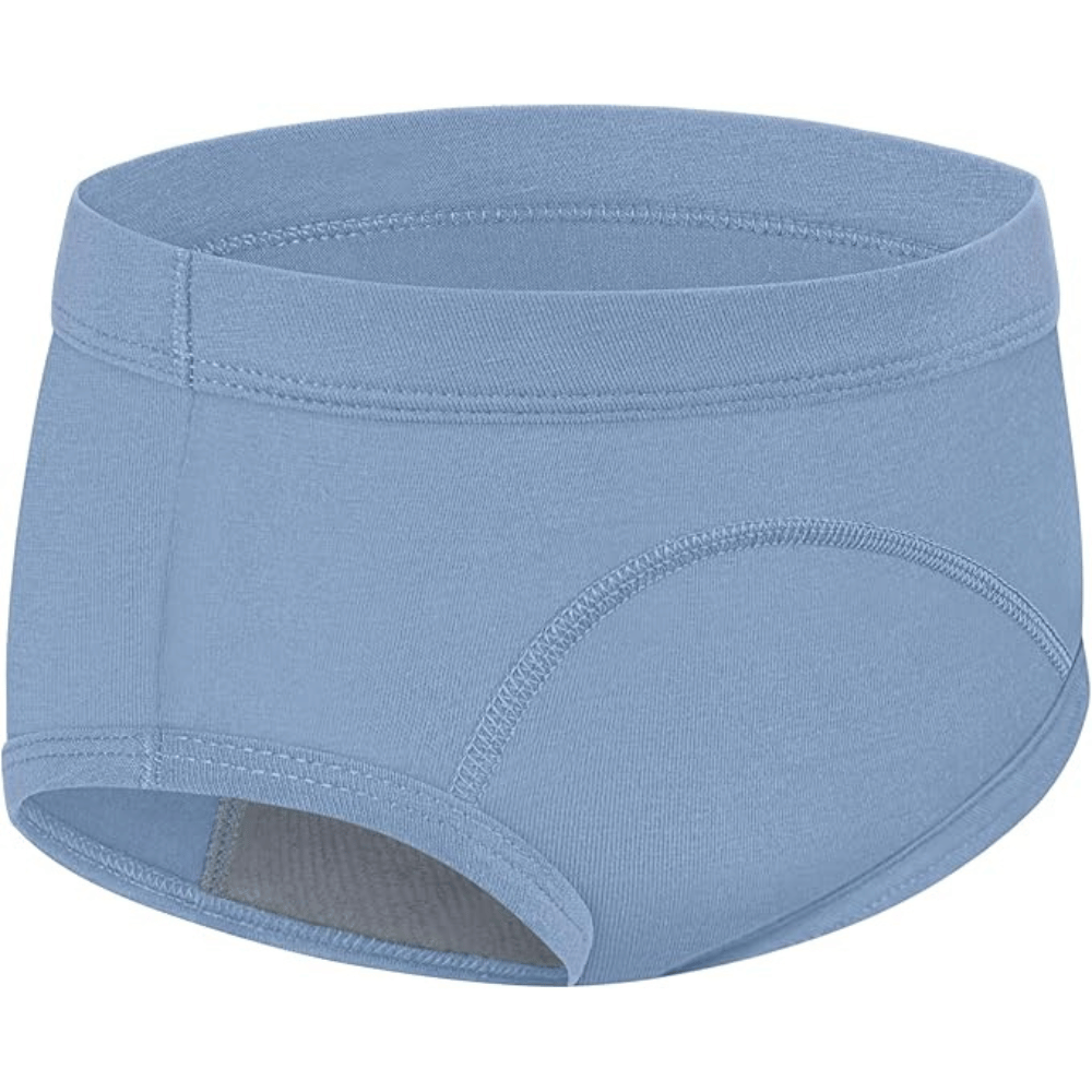 Hanes Boys' Potty Training Underwear