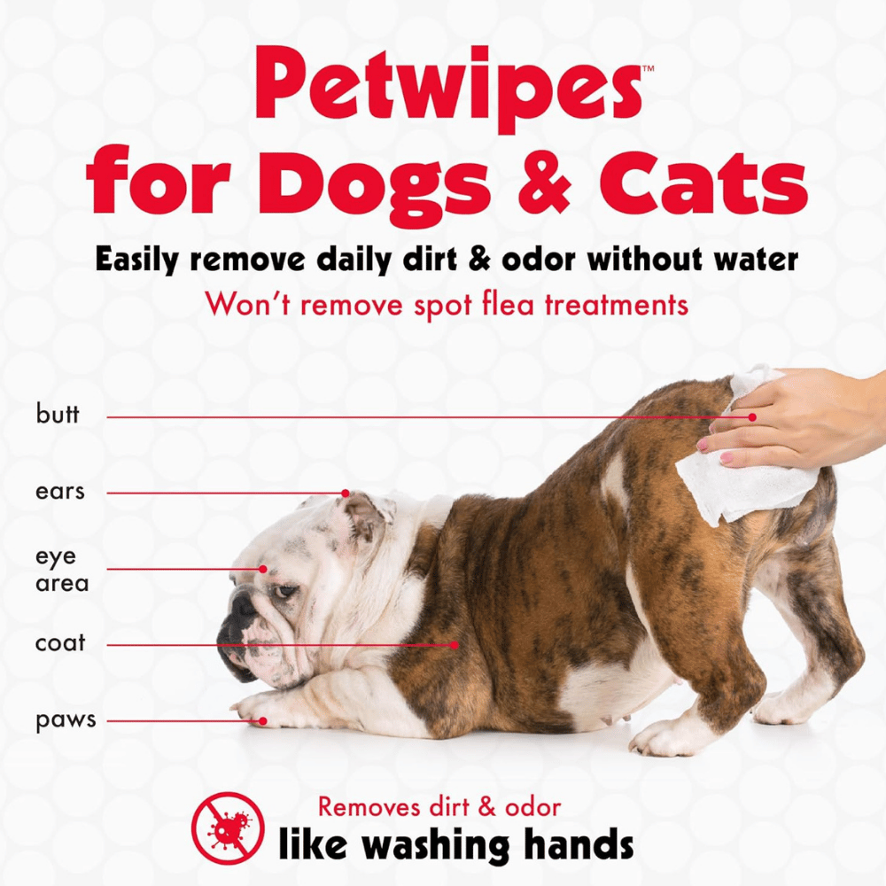 Petkin Big n'Thick Dog Wipes