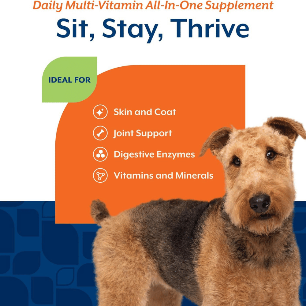 NaturVet All-in-One Dog Supplement