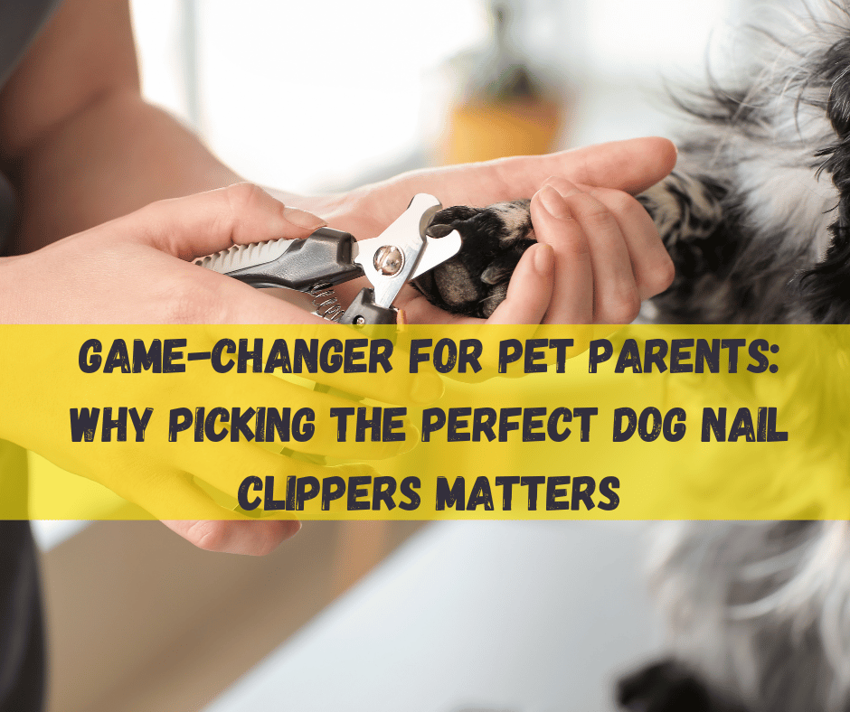 Dog Nail Clippers