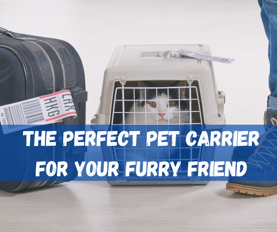 Pet Carrier
