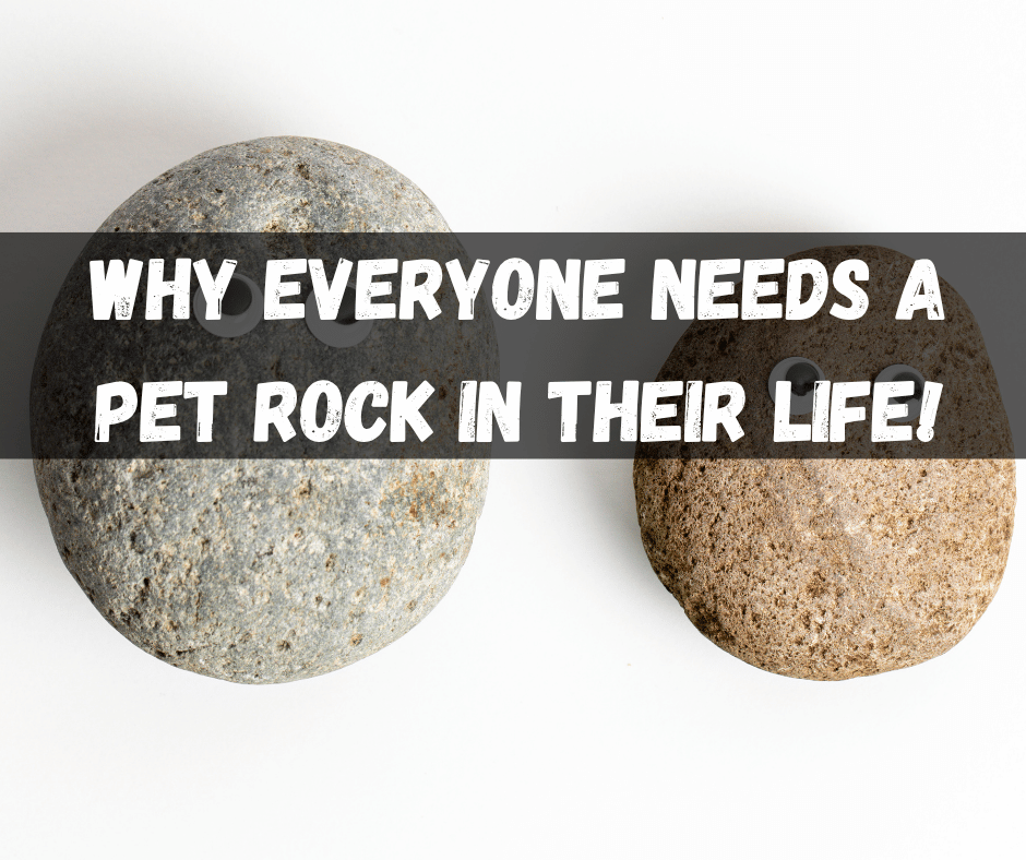 Pet Rock