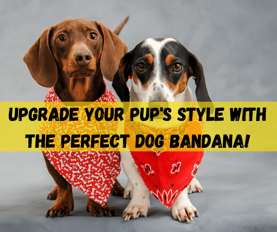 Dog Bandana