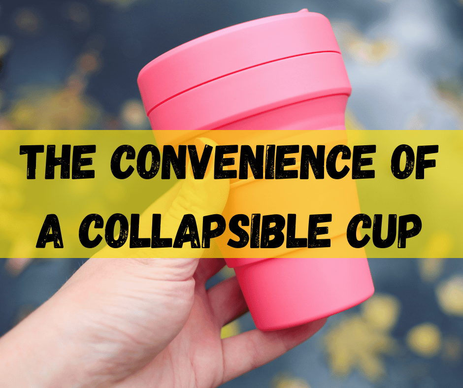 Collapsible Cup