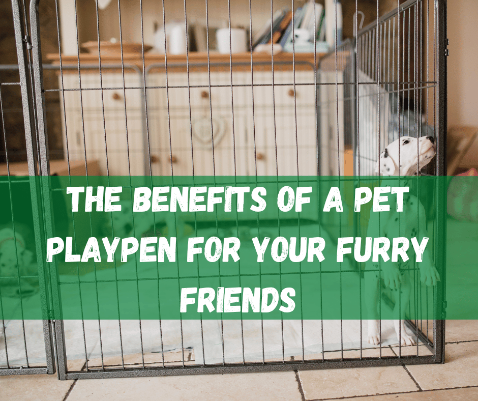 Pet Playpen