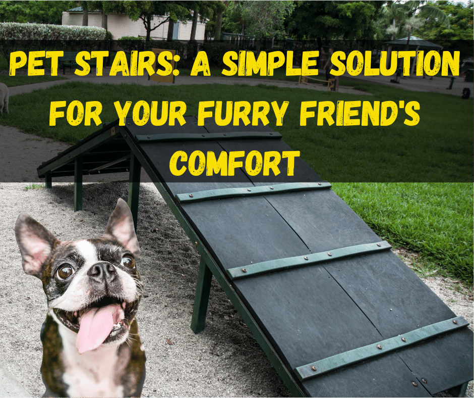 Pet Stairs
