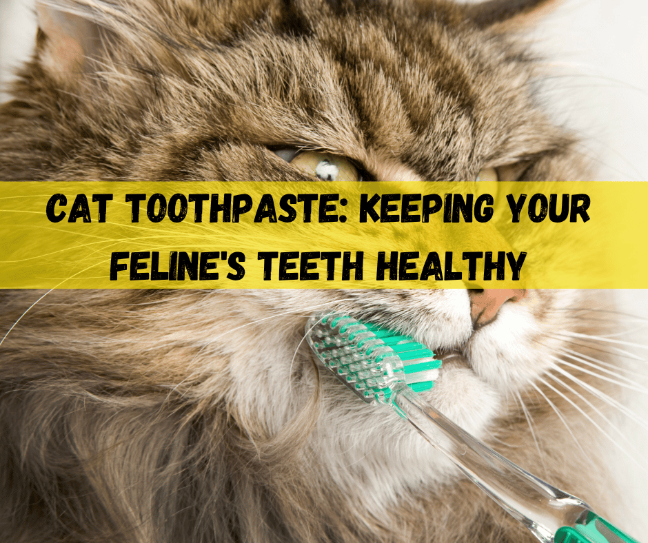Cat Toothpaste