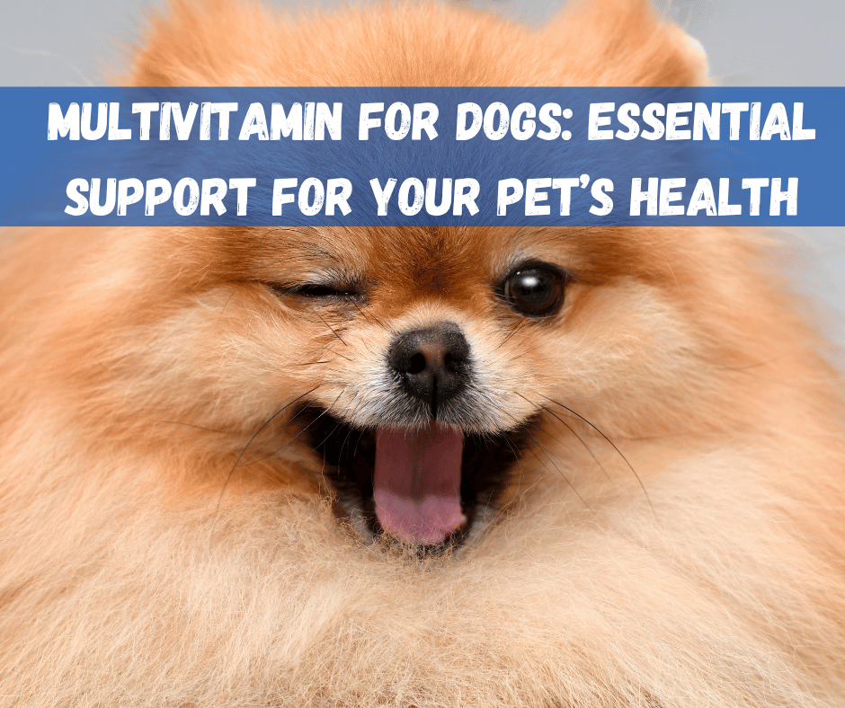 Multivitamin For Dogs