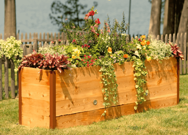 Discover the Joy of Gardening with the Perfect Raised Garden Bed!