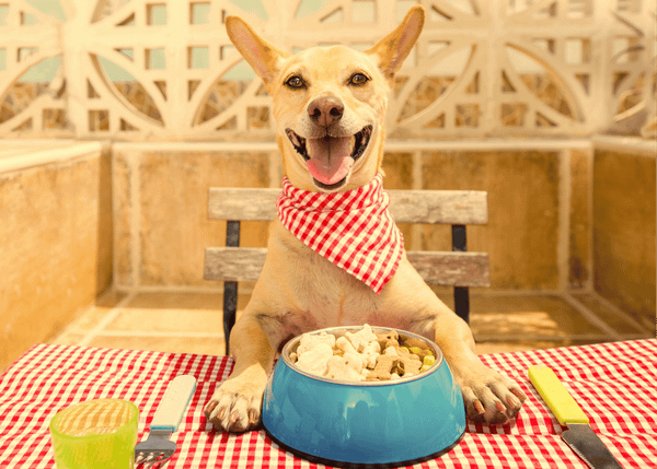 Freeze Dried Dog Food