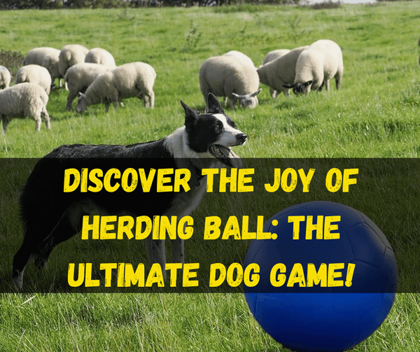 Herding Ball
