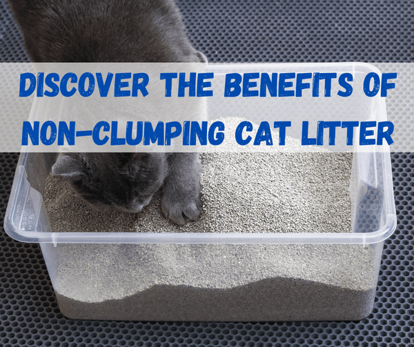 Non Clumping Cat Litter