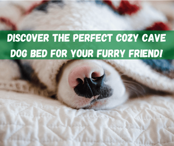 Cozy Cave Dog Bed