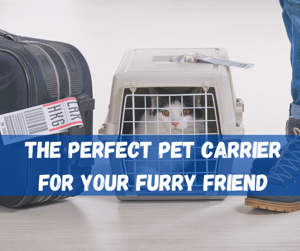 Pet Carrier