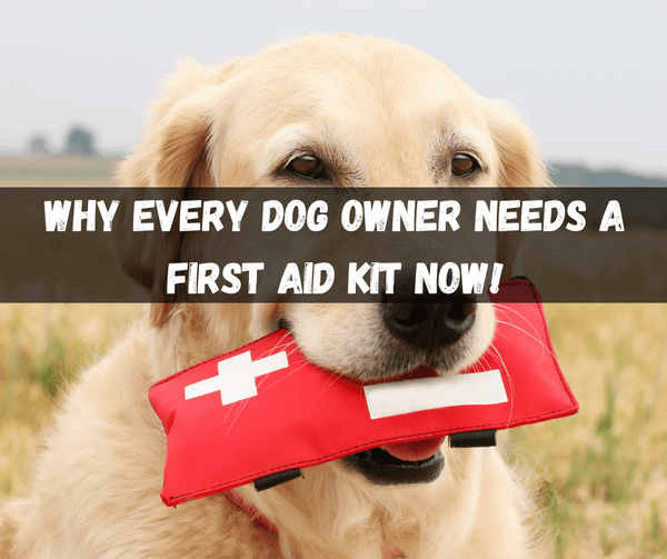 Dog First Aid Kit