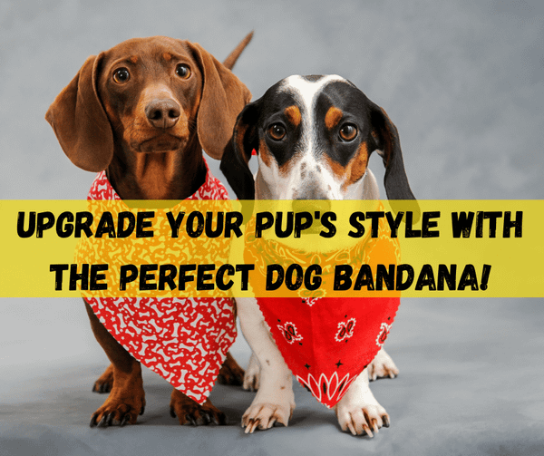 Dog Bandana