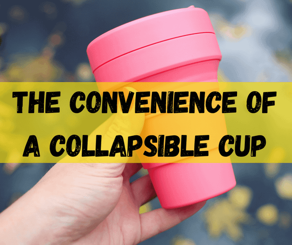 Collapsible Cup