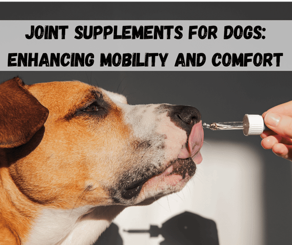 Joint Supplements For Dogs
