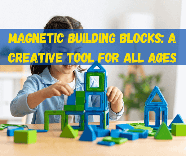 Magnetic Building Blocks​