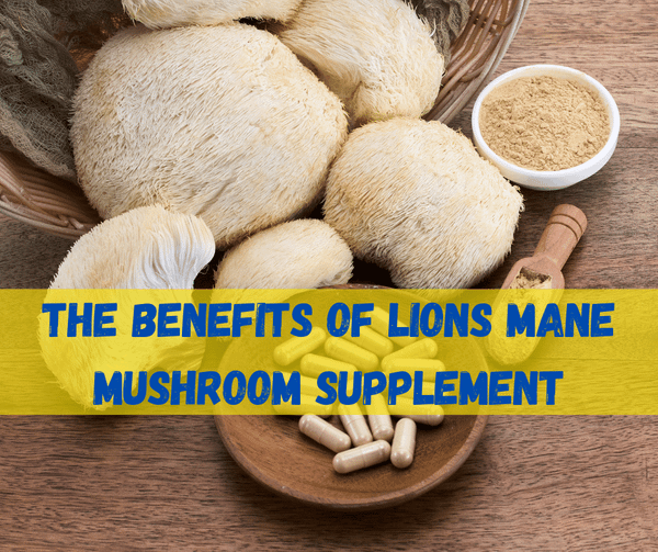 Lions Mane Mushroom Supplement
