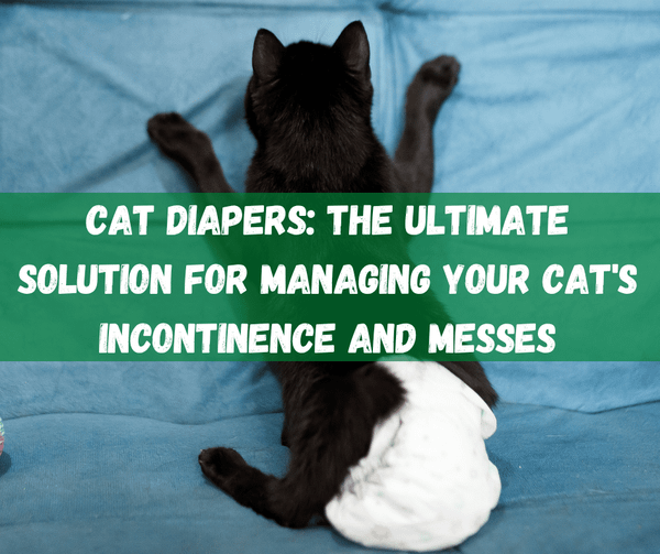 Cat Diapers