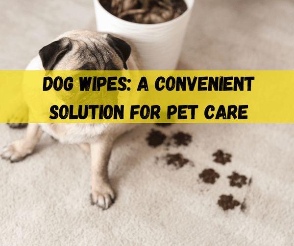 Dog Wipes