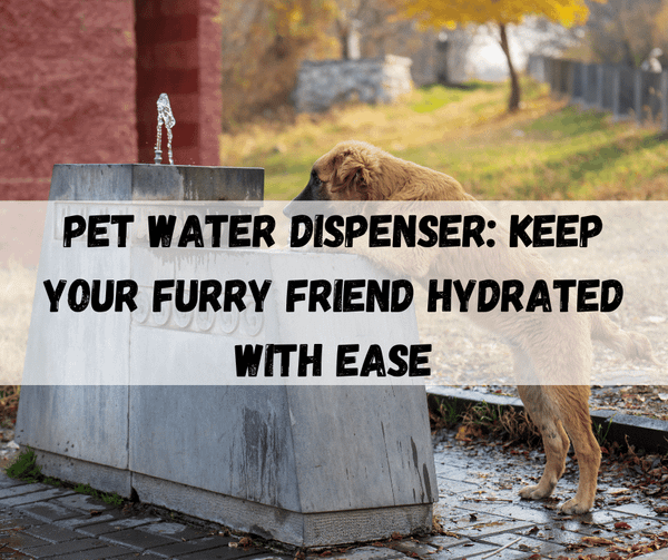 Pet Water Dispenser