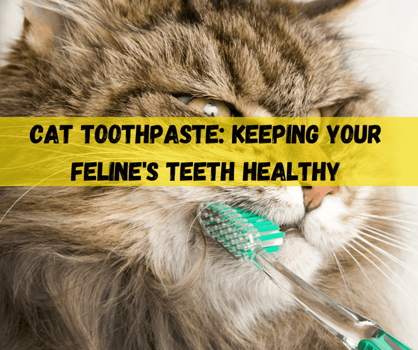Cat Toothpaste